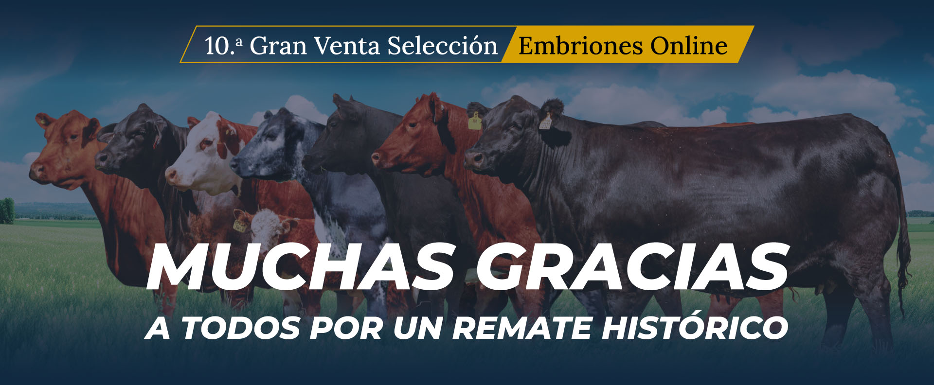 Gracias!